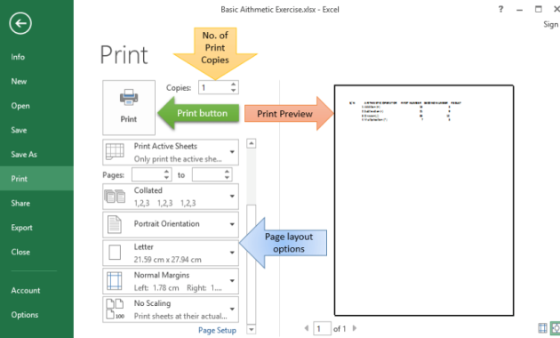 cara print di excel